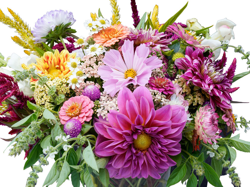 AdobeStock_634891899_Strauss_freigestellt.jpg