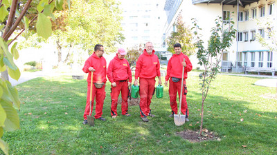 Die Gartenexperten, die in unserem Auftrag die Obstbäume zugunsten des Klimaschutzes pflanzen, sind Mitarbeitende der Frankfurter Firma Harisch.