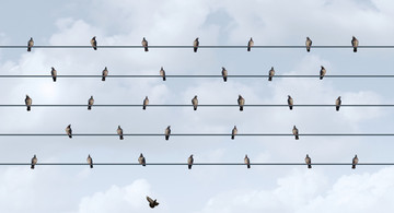 Vögel sitzen auf einer Leitung mit größem Abstand