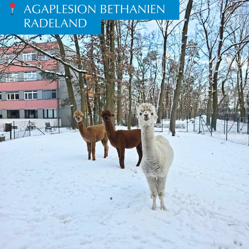 ☃️ So schön ist der Winter in unseren Einrichtungen! ❄️
 
Vor kurzem hat ein Wintereinbruch unsere Einrichtungen...