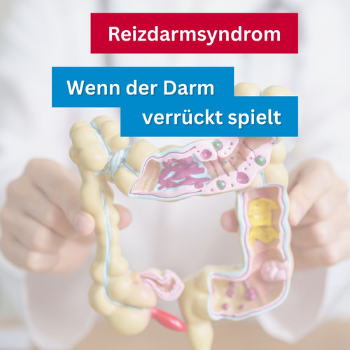 Bauchschmerzen, Blähungen oder wechselnder Stuhlgang – hinter solchen Beschwerden kann ein Reizdarmsyndrom stecken....